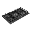 Fischer FBH-G90-5SBF 5 Burner Glass